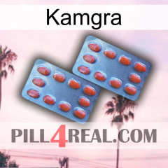 Kamgra 05